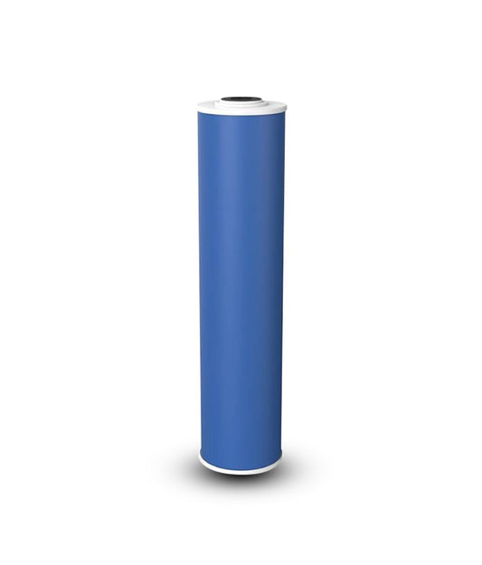 20" GAC Carbon Filter (BB)